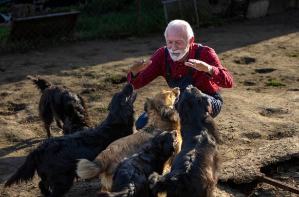 Lebensfreude durch Herz und Hand Alltagshilfe